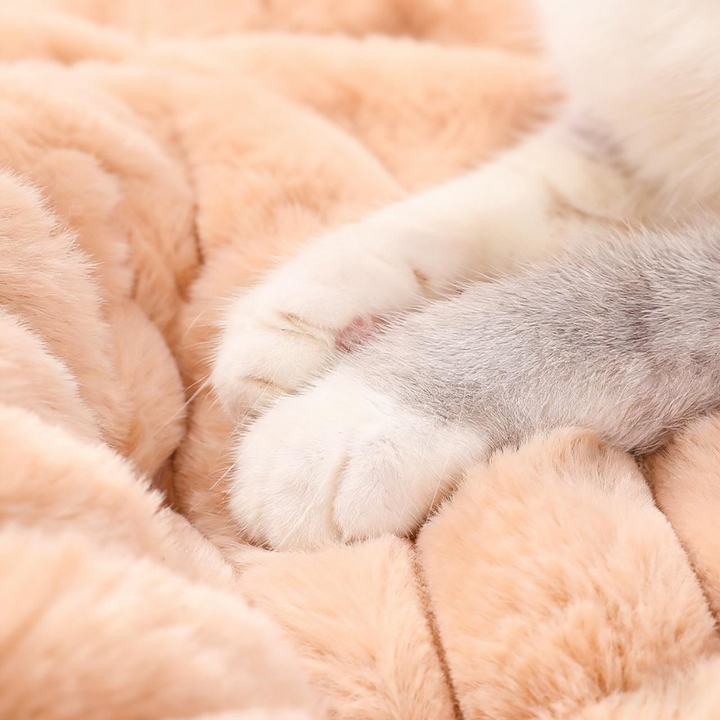 Comfort Faux Rabbit Fur Pet Bed